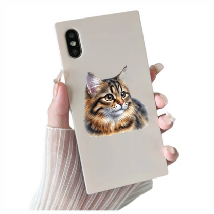 Brown Tabby Cat With Round Eyes Vinyl Sticker Decal