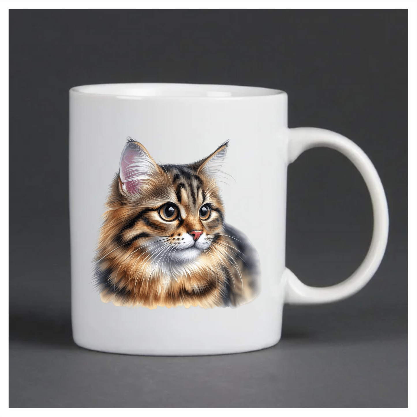 Brown Tabby Cat With Round Eyes Vinyl Sticker Decal