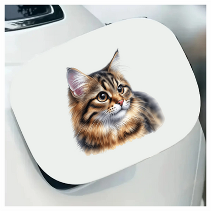 Brown Tabby Cat With Round Eyes Vinyl Sticker Decal