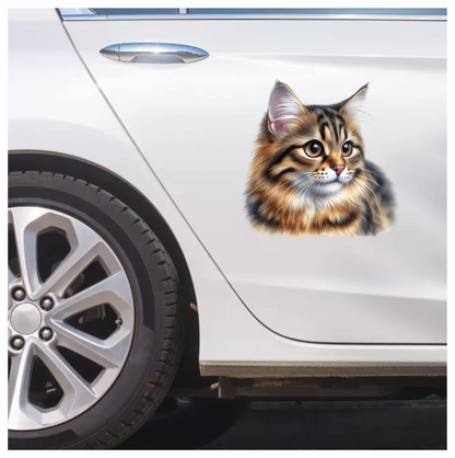 Brown Tabby Cat With Round Eyes Vinyl Sticker Decal