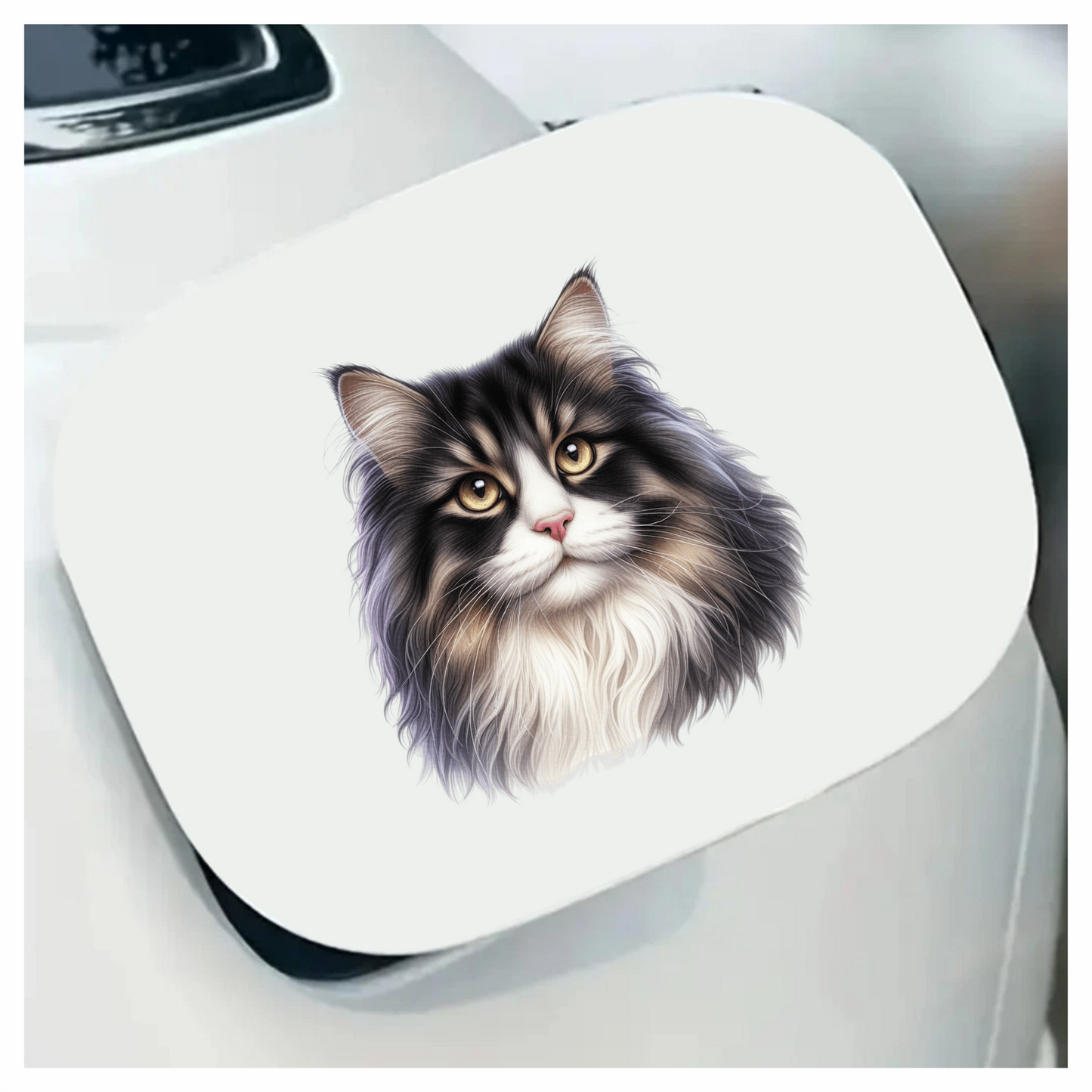 Black White Cat With Golden Eyes Vinyl Sticker Decal