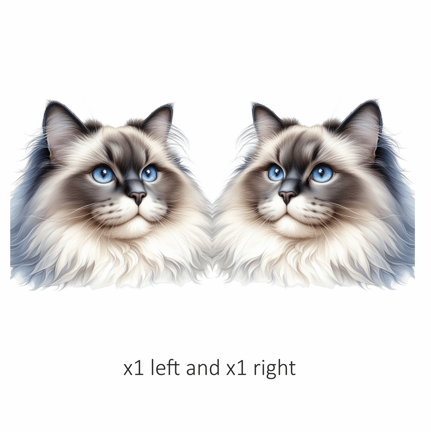 Blue Cat Ragdoll Fluffy Face Vinyl Sticker Decal