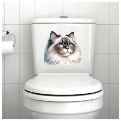 Blue Cat Ragdoll Fluffy Face Vinyl Sticker Decal