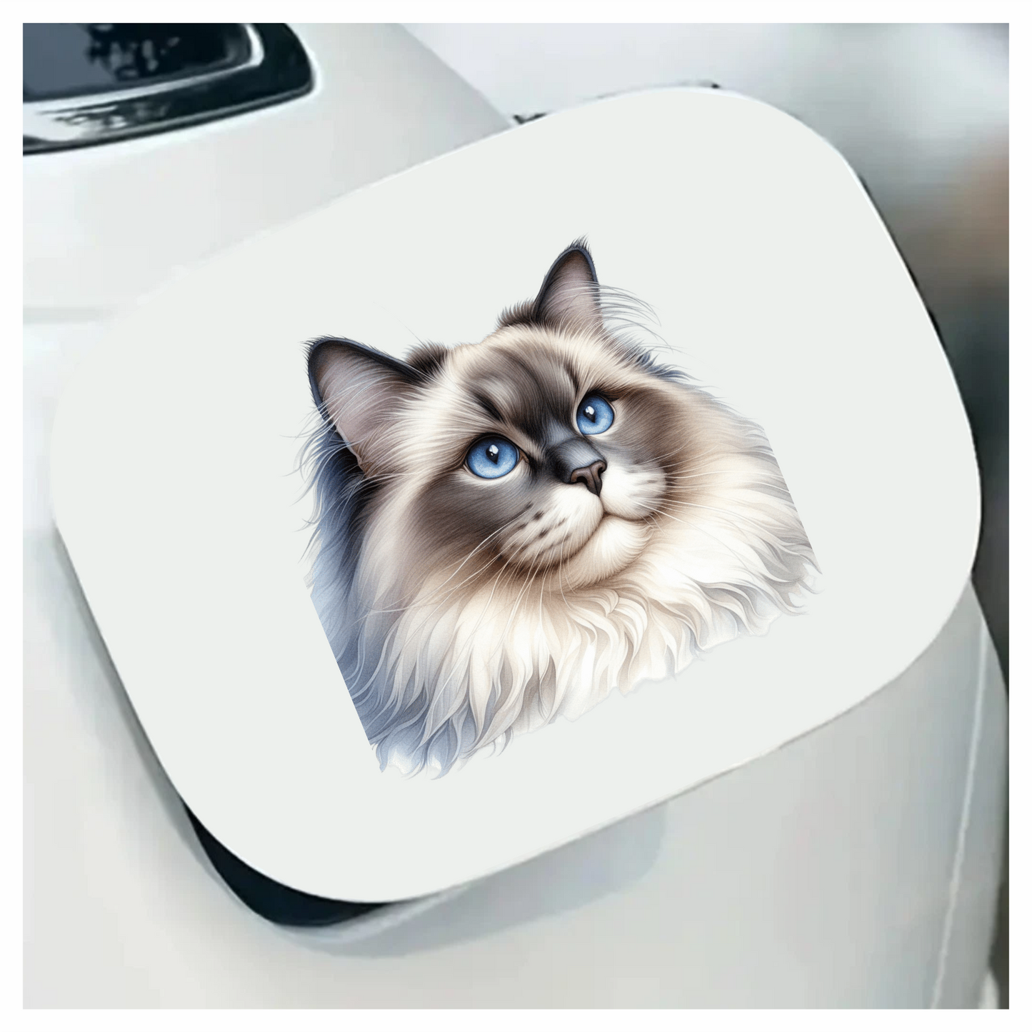 Blue Cat Ragdoll Fluffy Face Vinyl Sticker Decal
