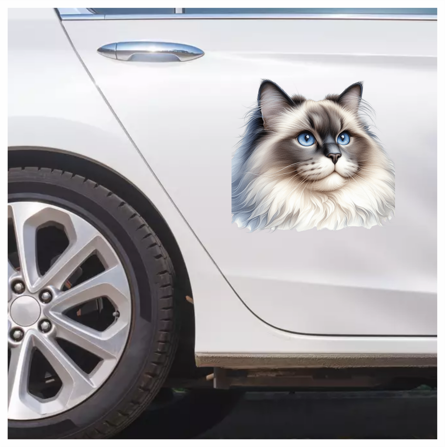 Blue Cat Ragdoll Fluffy Face Vinyl Sticker Decal