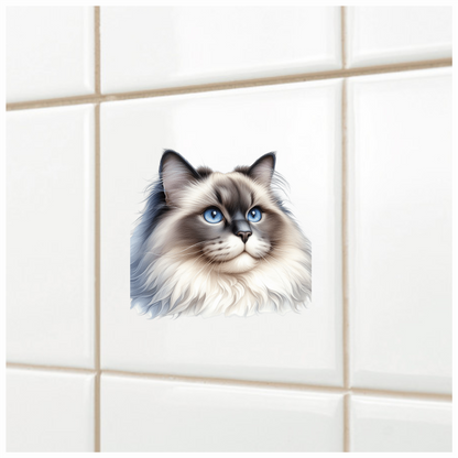 Blue Cat Ragdoll Fluffy Face Vinyl Sticker Decal