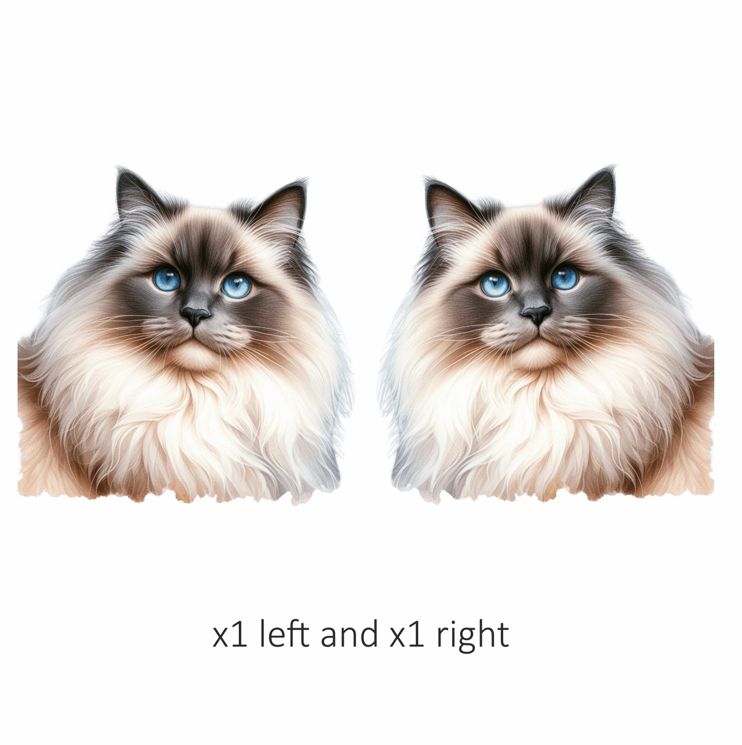 Blue Ragdoll Cat Fluffy Face Vinyl Sticker Decal