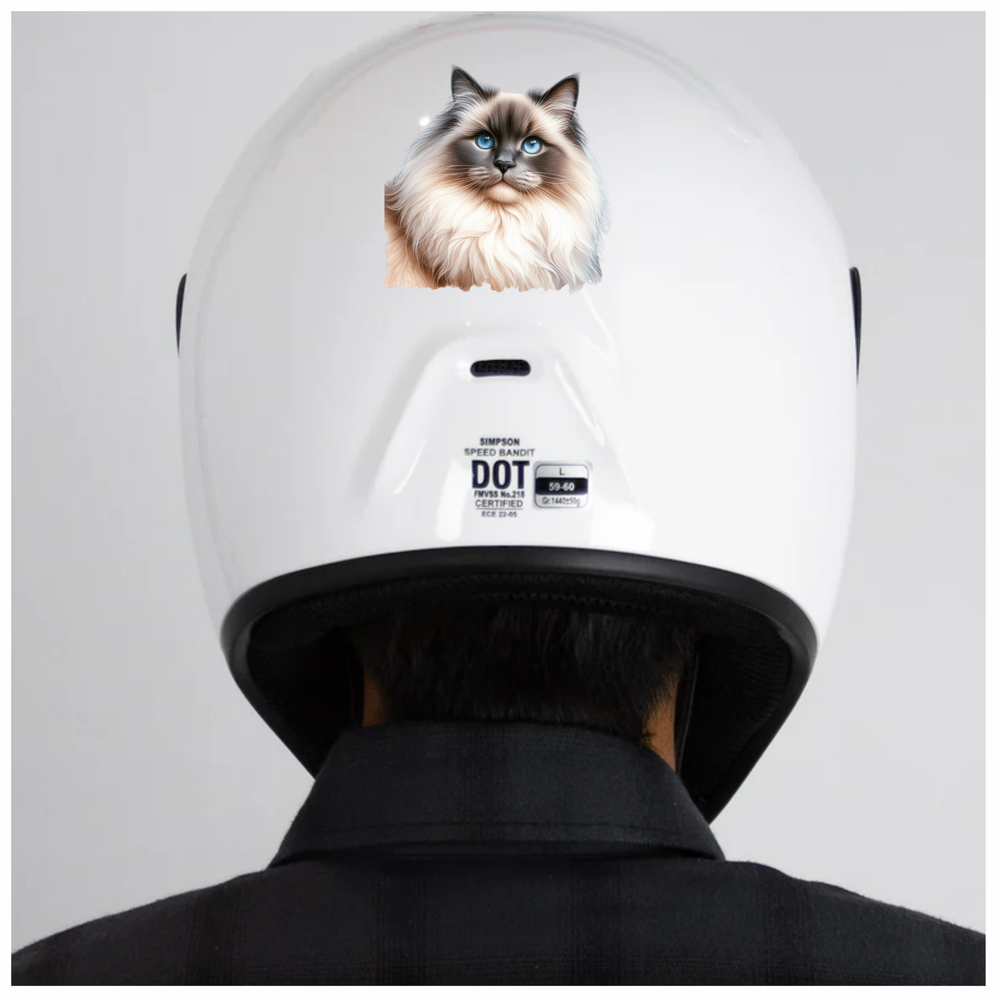 Blue Ragdoll Cat Fluffy Face Vinyl Sticker Decal