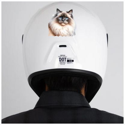 Blue Ragdoll Cat Fluffy Face Vinyl Sticker Decal