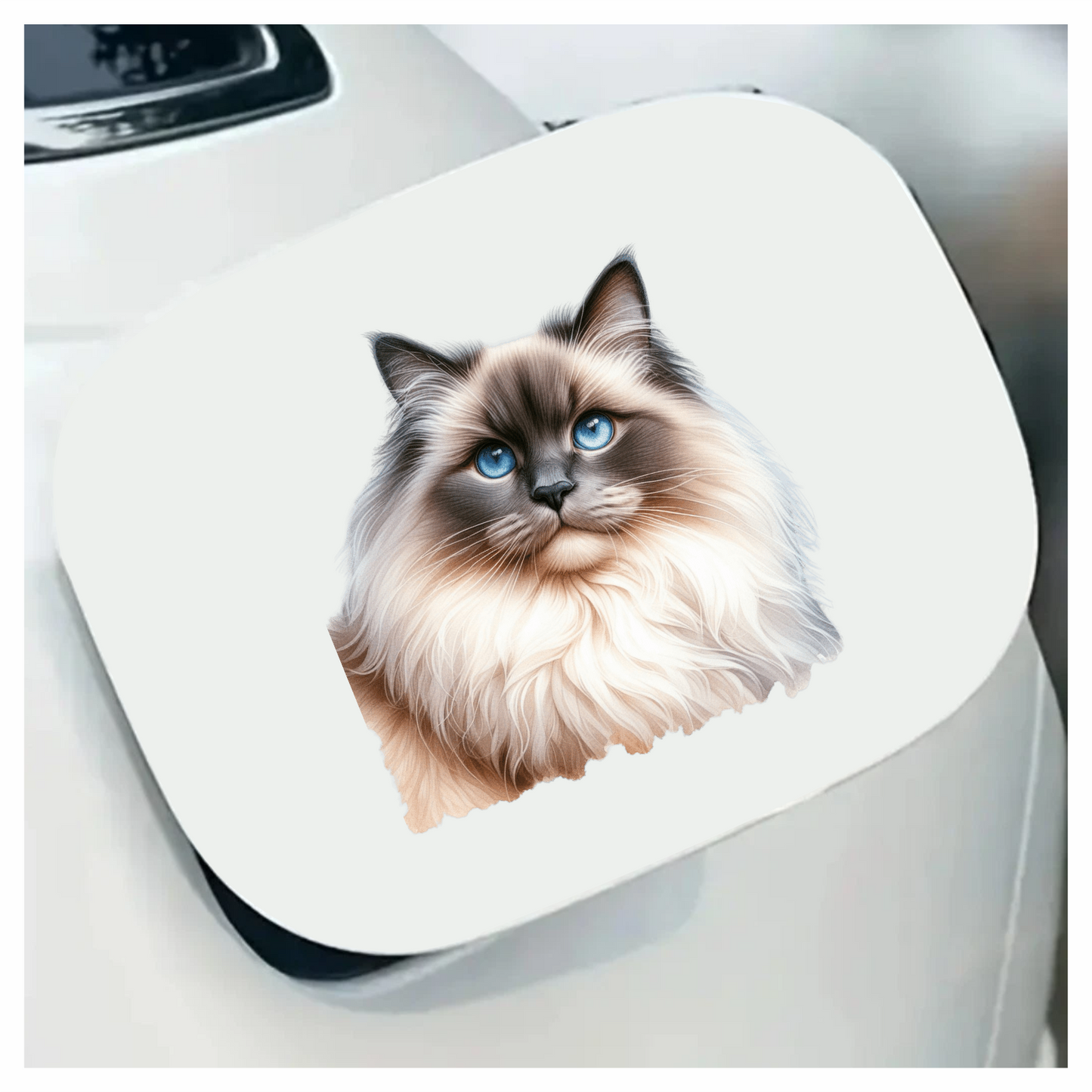 Blue Ragdoll Cat Fluffy Face Vinyl Sticker Decal
