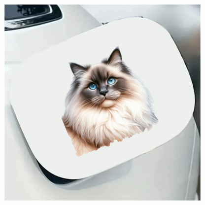 Blue Ragdoll Cat Fluffy Face Vinyl Sticker Decal