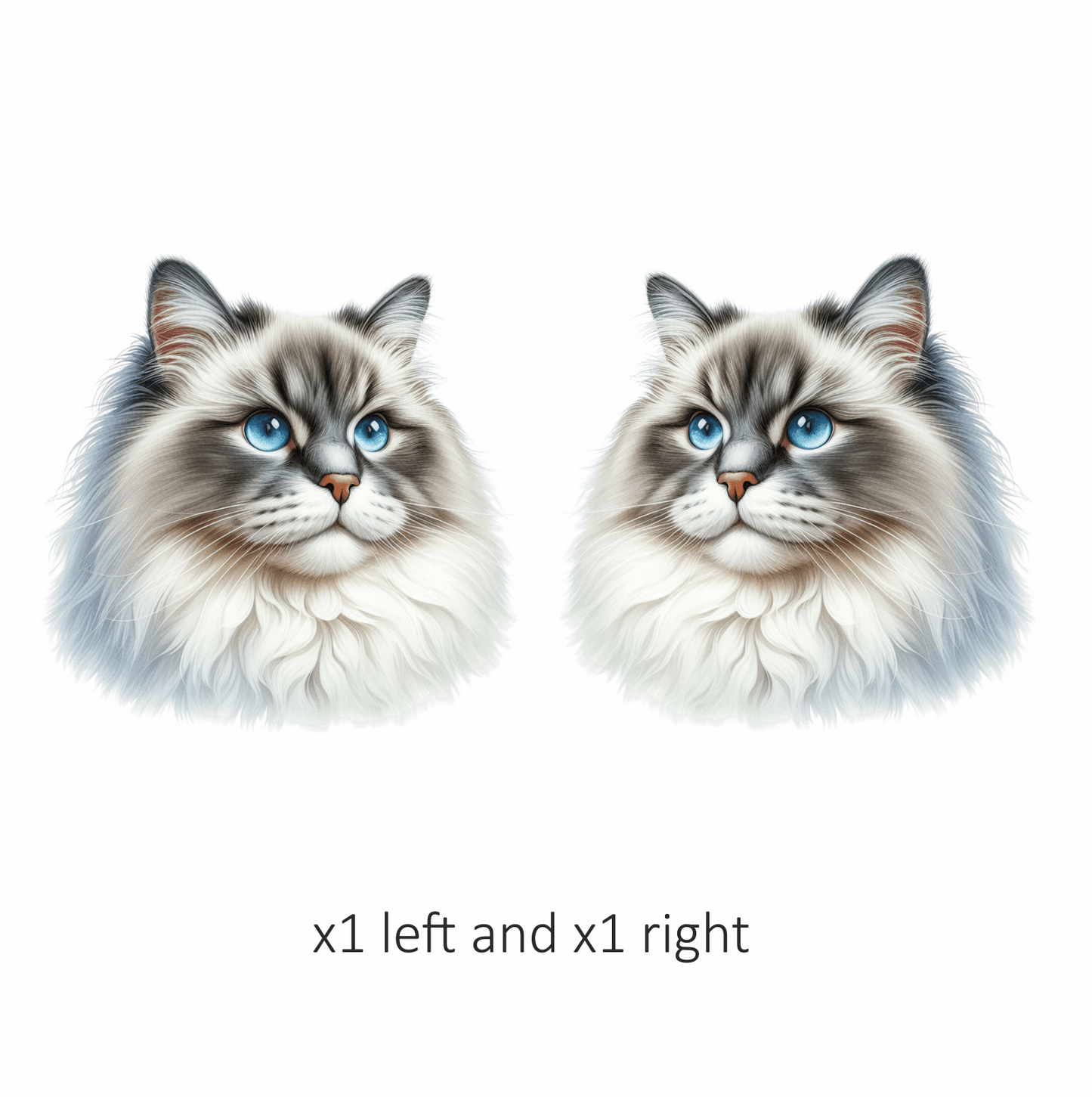 Blue Cat Ragdoll Fluffy Face Vinyl Sticker Decal