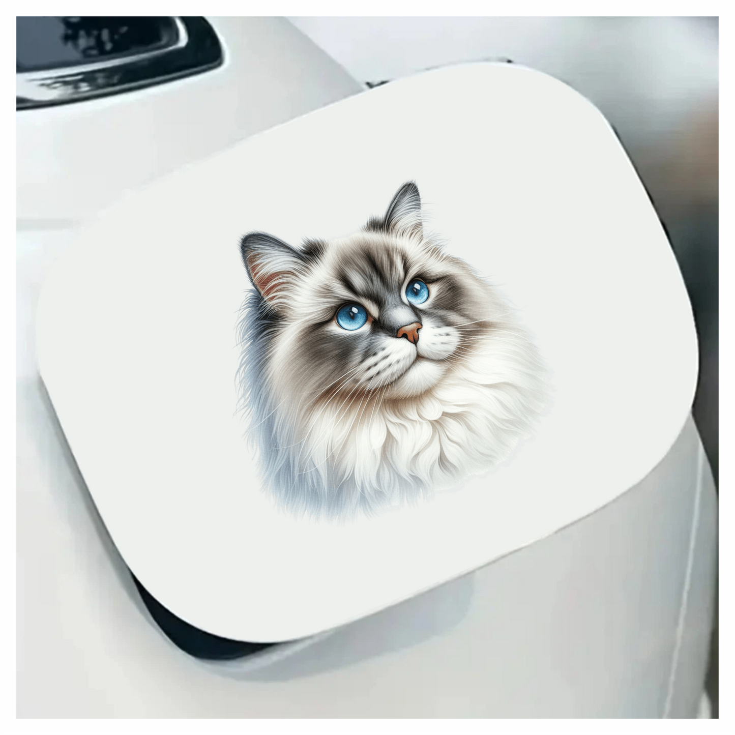 Blue Cat Ragdoll Fluffy Face Vinyl Sticker Decal