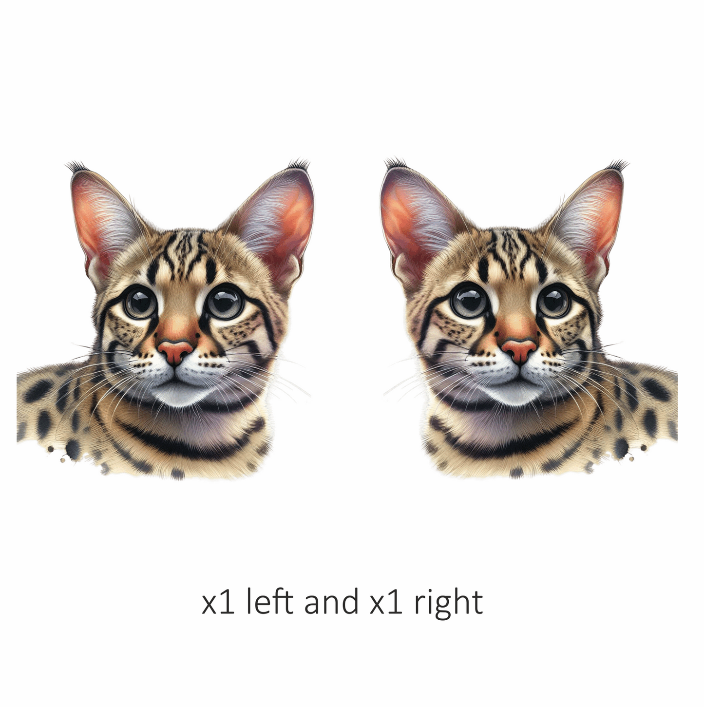 Brown Cat Bengal Face Closeup Vinyl Sticker Decal