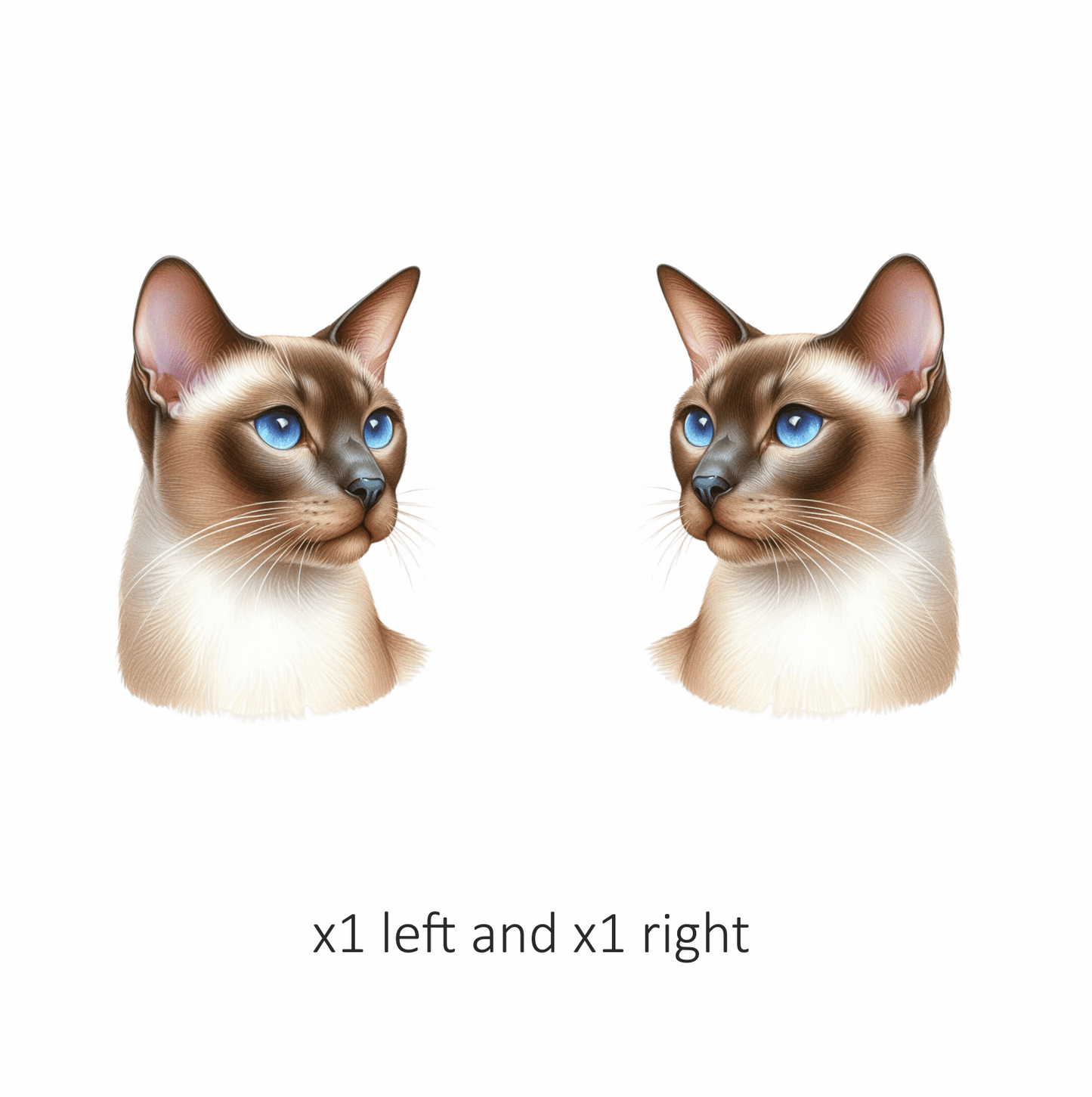 Brown Cat Siamese Blue Eyes Vinyl Sticker Decal