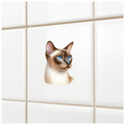Brown Cat Siamese Blue Eyes Vinyl Sticker Decal