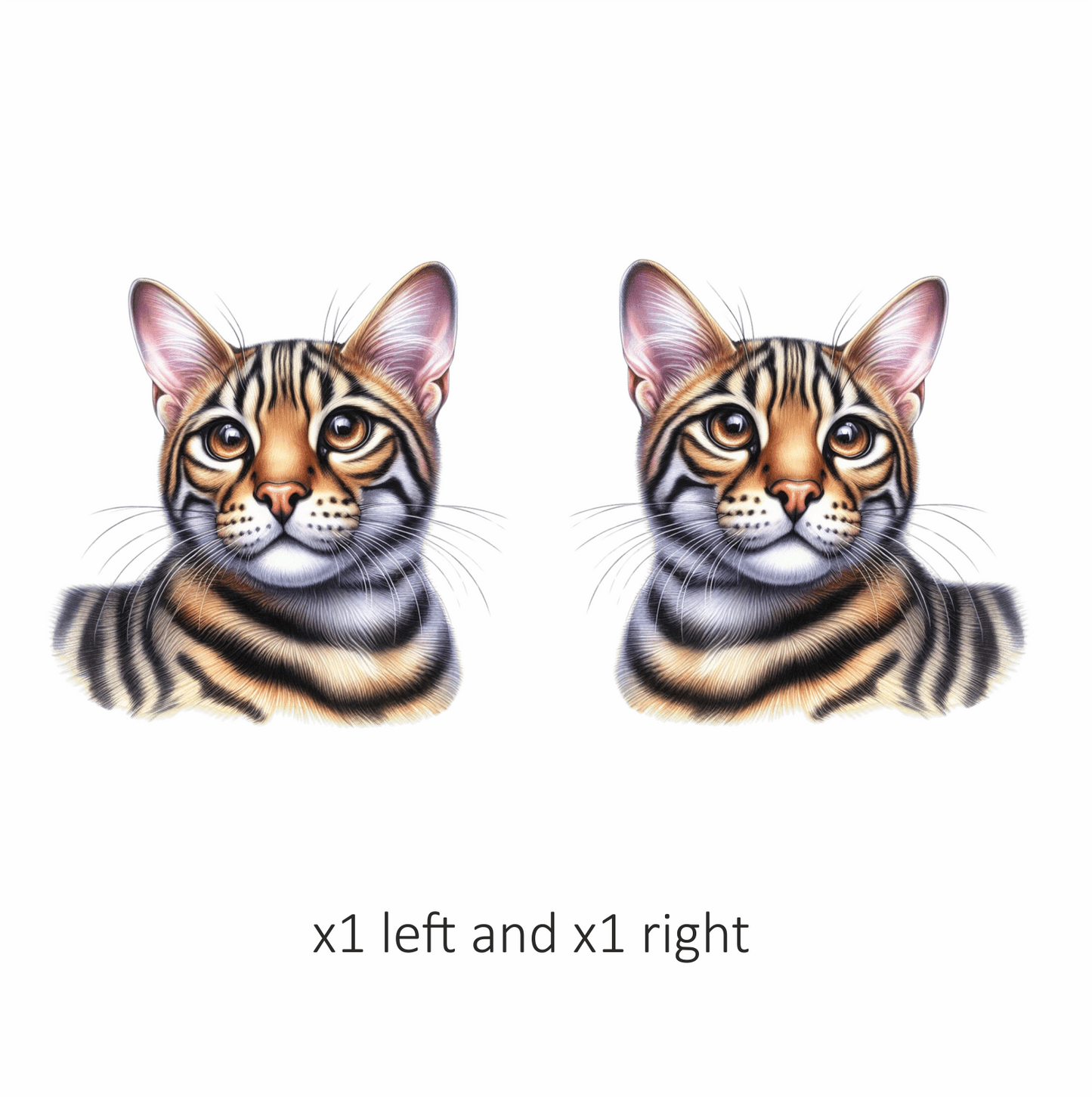 Brown Tabby Cat Bengal Vinyl Sticker Decal