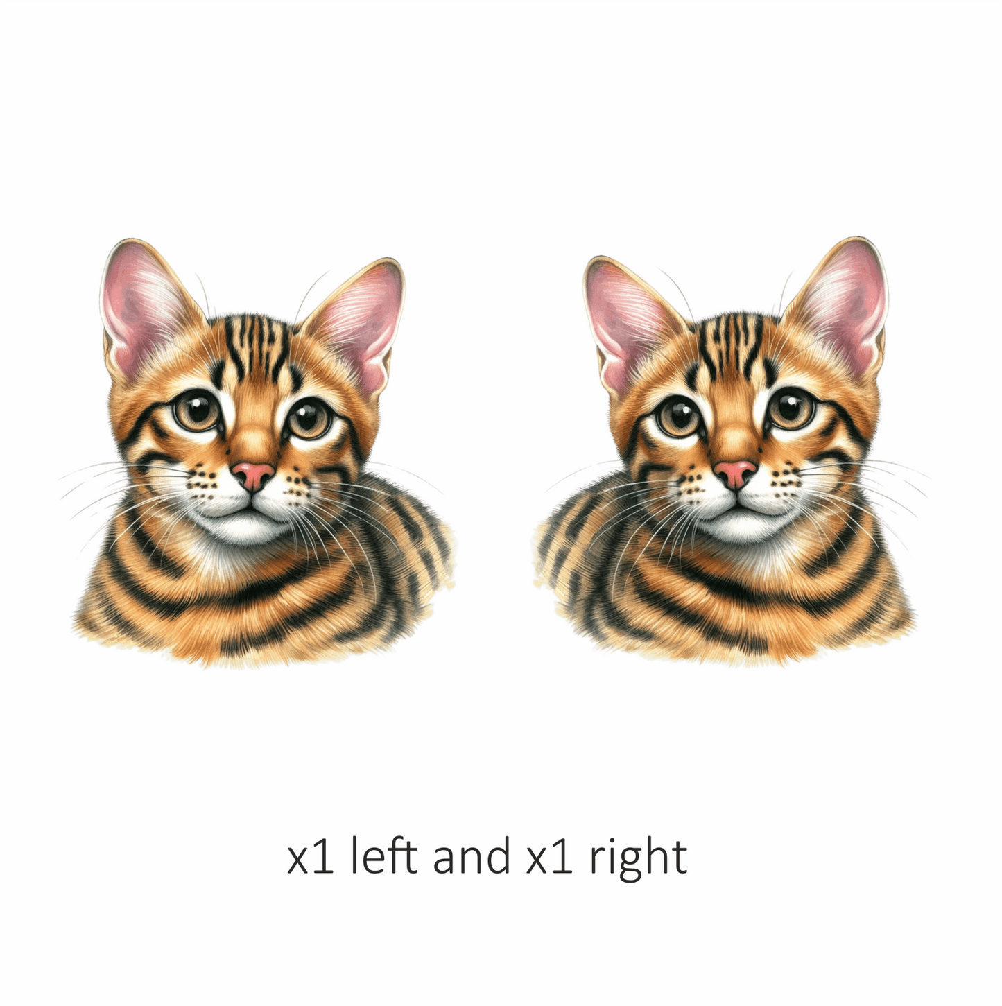 Brown Cat Bengal Kitten Portrait Vinyl Sticker Decal