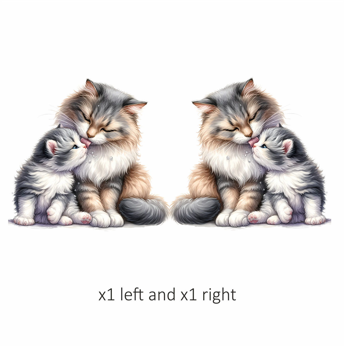 Grey White Cat Kitten Maine Vinyl Sticker Decal