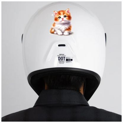 Orange White Kitten Fluffy Cute Vinyl Sticker Decal