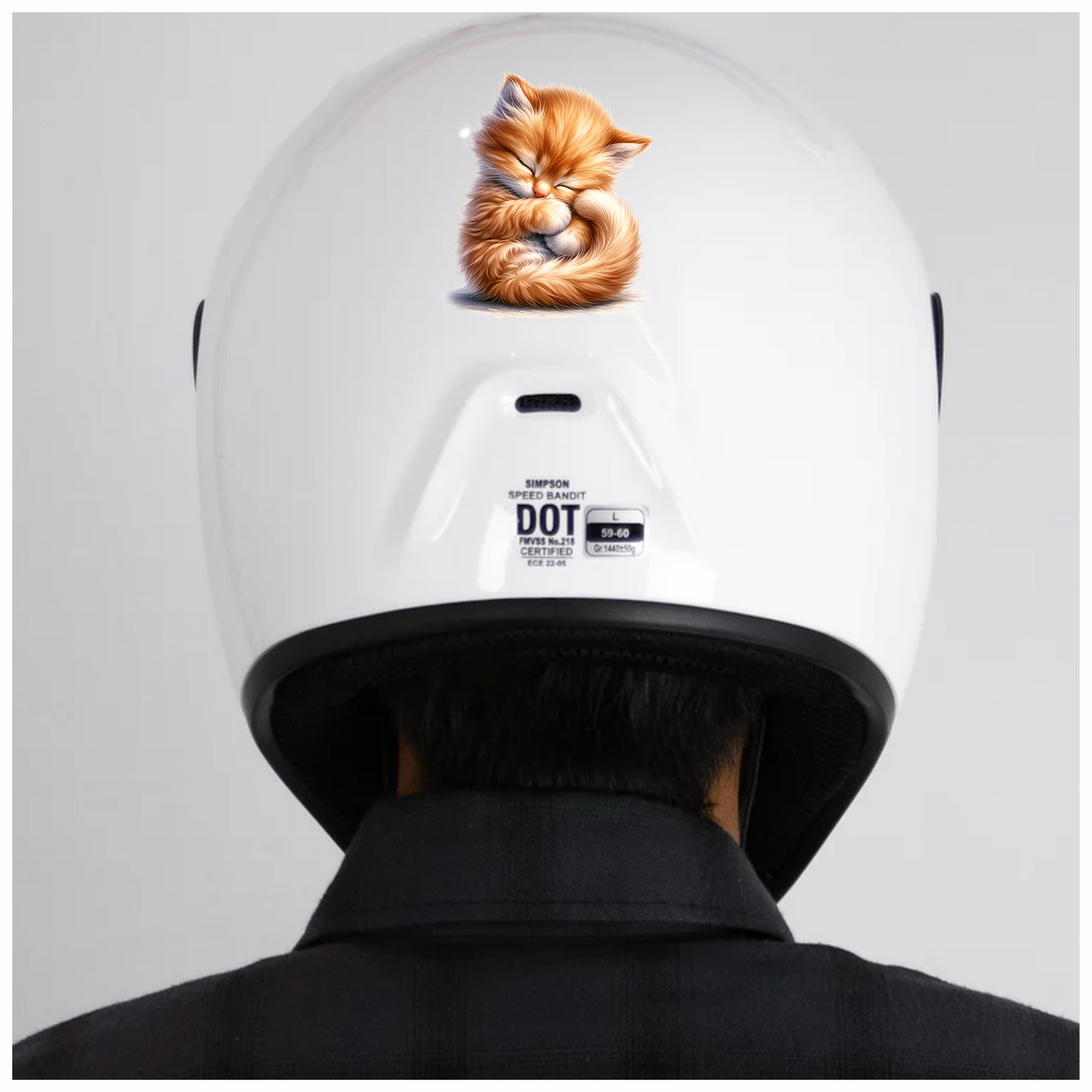 Orange Fluffy Kitten Sleeping Cute Vinyl Sticker Decal