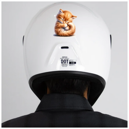 Orange Fluffy Kitten Sleeping Cute Vinyl Sticker Decal