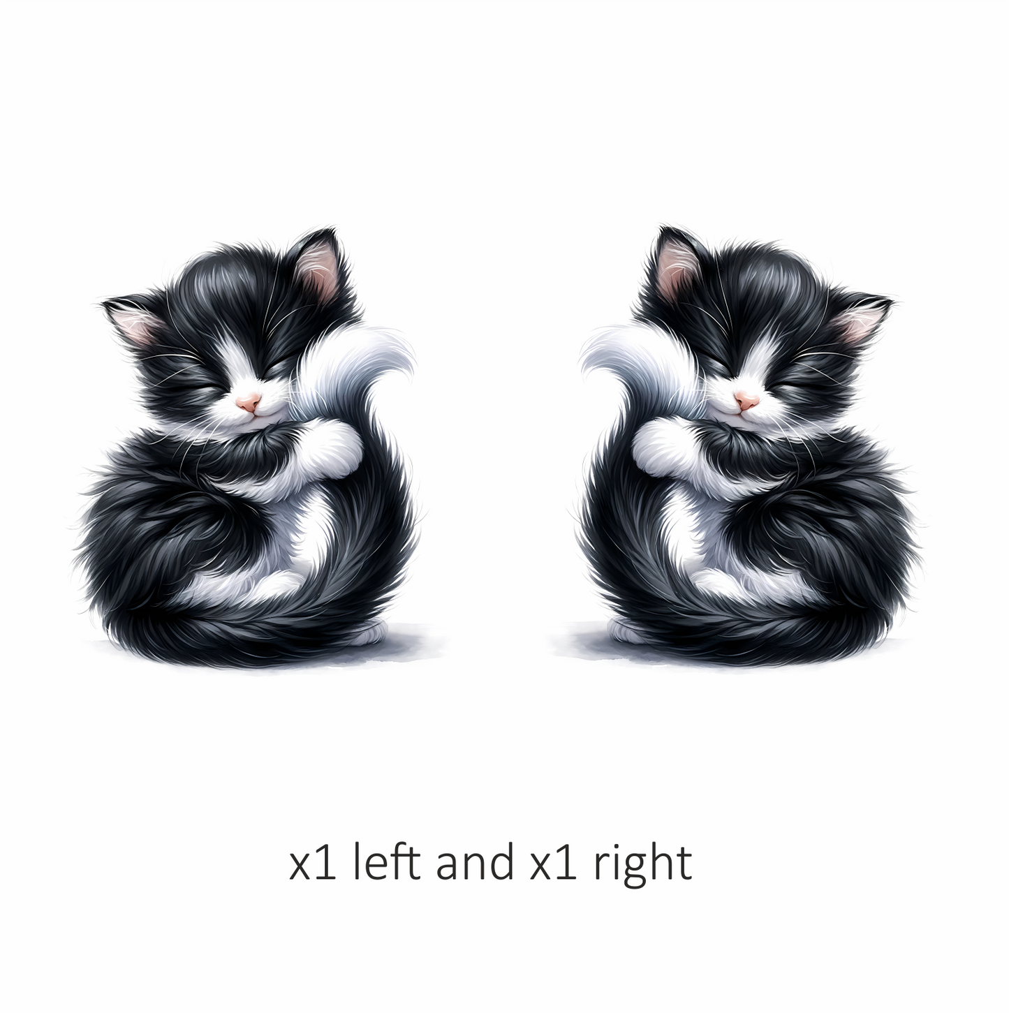 Black White Fluffy Kitten Sleeping Vinyl Sticker Decal