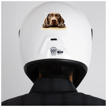 Brown Dog Labrador Close Up Vinyl Sticker Decal