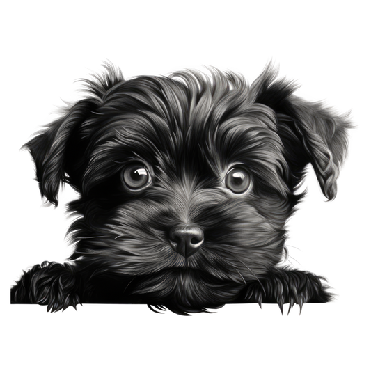 Black Puppy Dog Terrier Cute Vinyl Sticker Decal