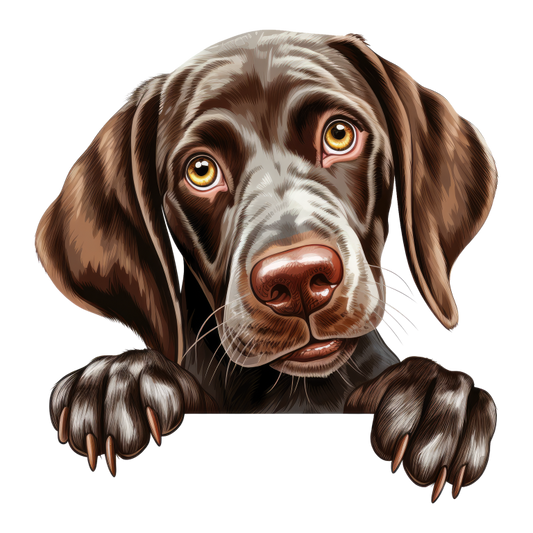 Brown Dog Puppy Cute Pointer Vinyl Sticker Decal