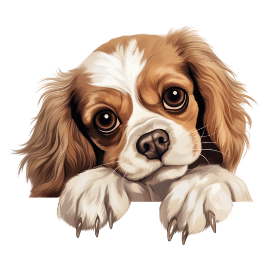 Brown White Dog Cavalier Spaniel Vinyl Sticker Decal
