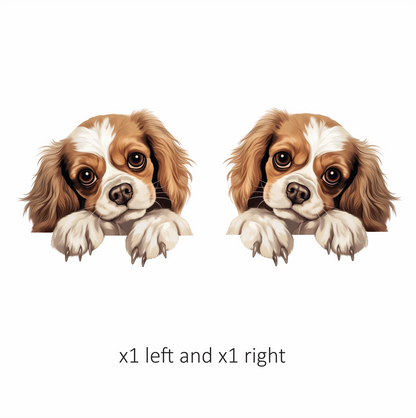 Brown White Dog Cavalier Spaniel Vinyl Sticker Decal