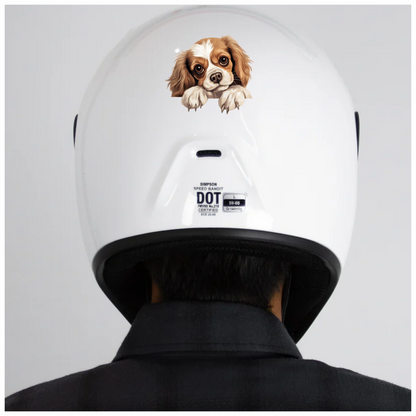 Brown White Dog Cavalier Spaniel Vinyl Sticker Decal