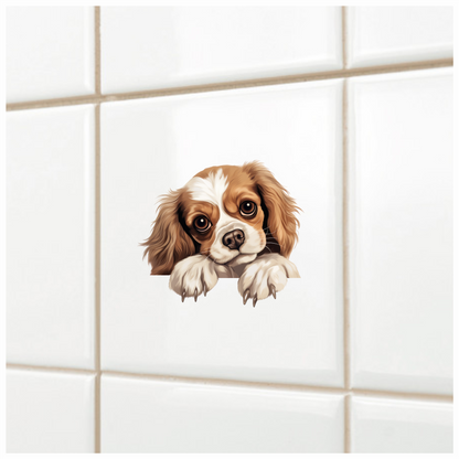 Brown White Dog Cavalier Spaniel Vinyl Sticker Decal