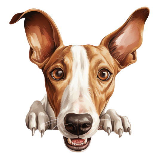 Brown White Dog Greyhound Face Vinyl Sticker Decal