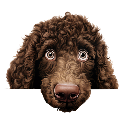 Brown Dog Poodle Head Close Vinyl Sticker Decal