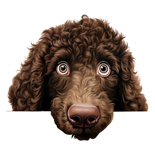 Brown Dog Poodle Head Close Vinyl Sticker Decal