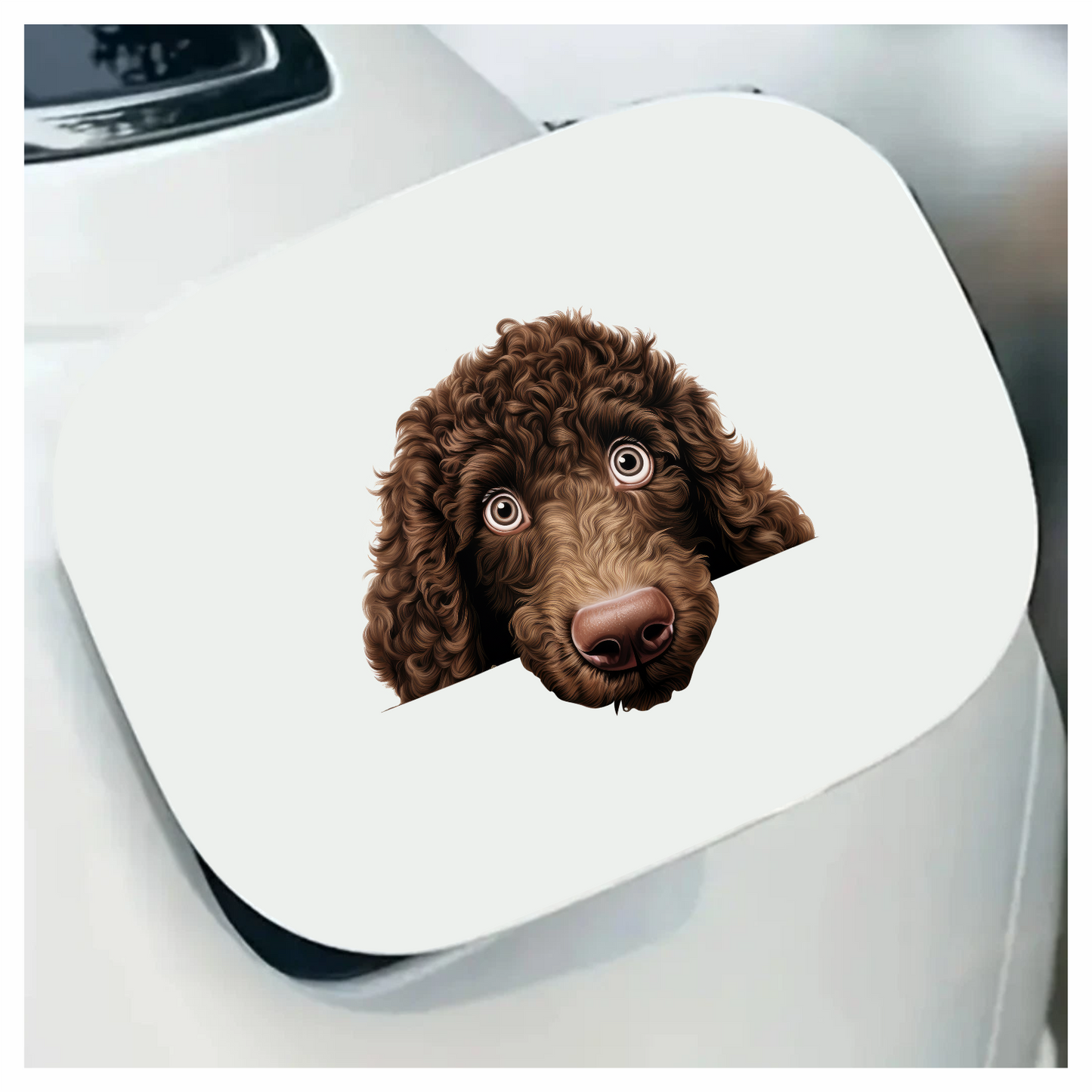 Brown Dog Poodle Head Close Vinyl Sticker Decal