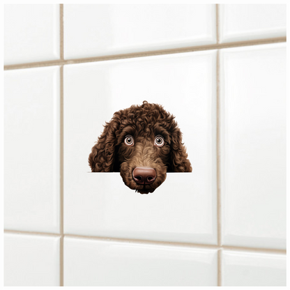 Brown Dog Poodle Head Close Vinyl Sticker Decal
