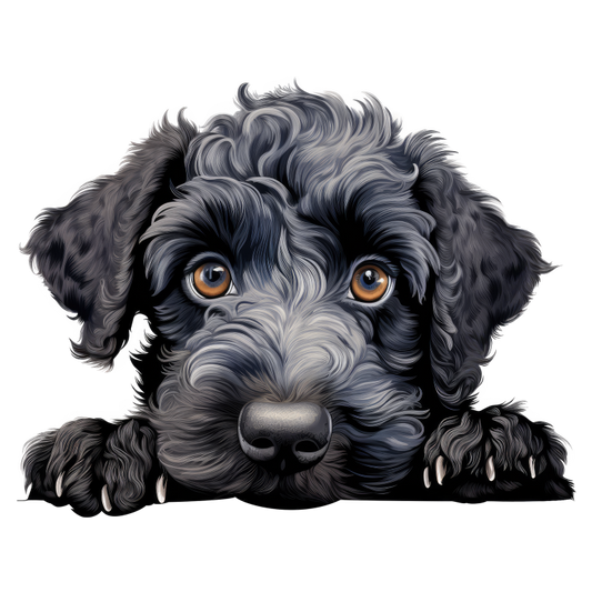 Black Dog Puppy Poodle Cute Vinyl Sticker Decal
