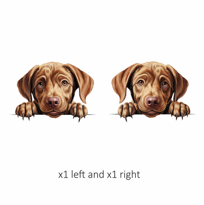 Brown Puppy Dog Labrador Cute Vinyl Sticker Decal