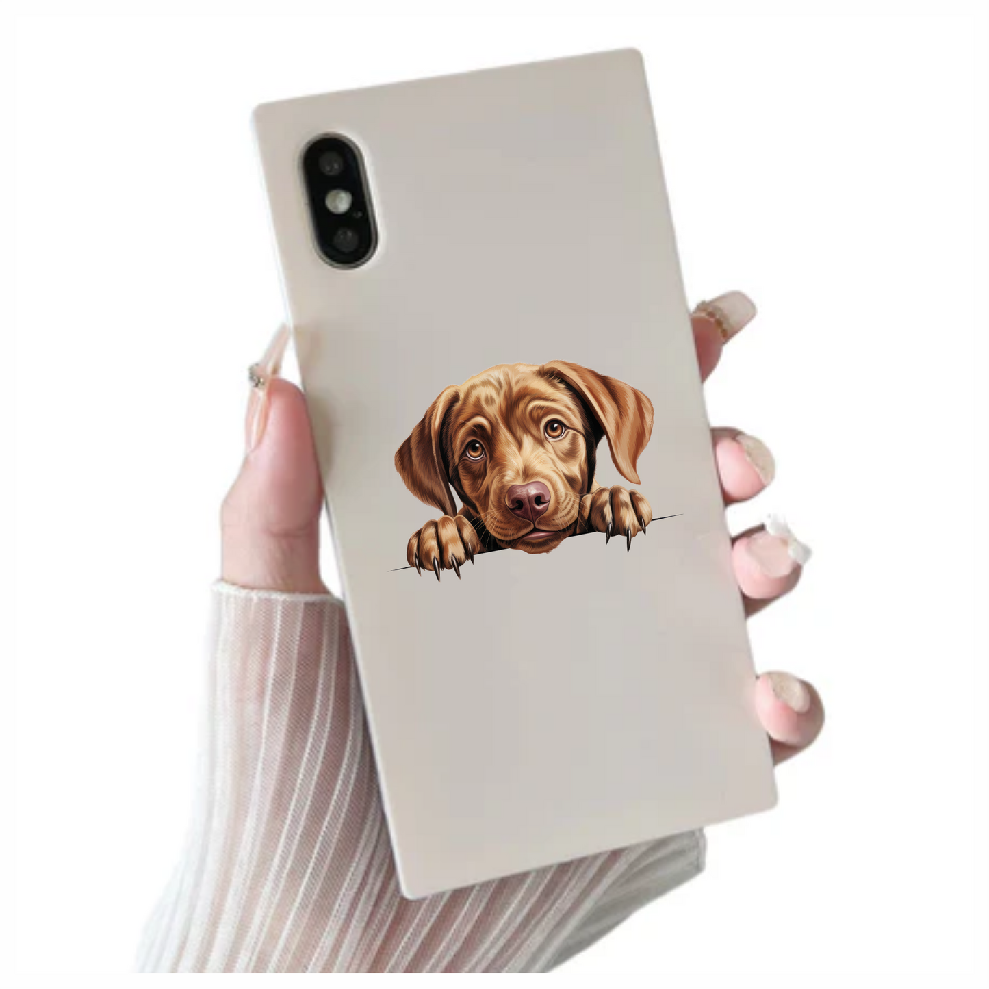 Brown Puppy Dog Labrador Cute Vinyl Sticker Decal