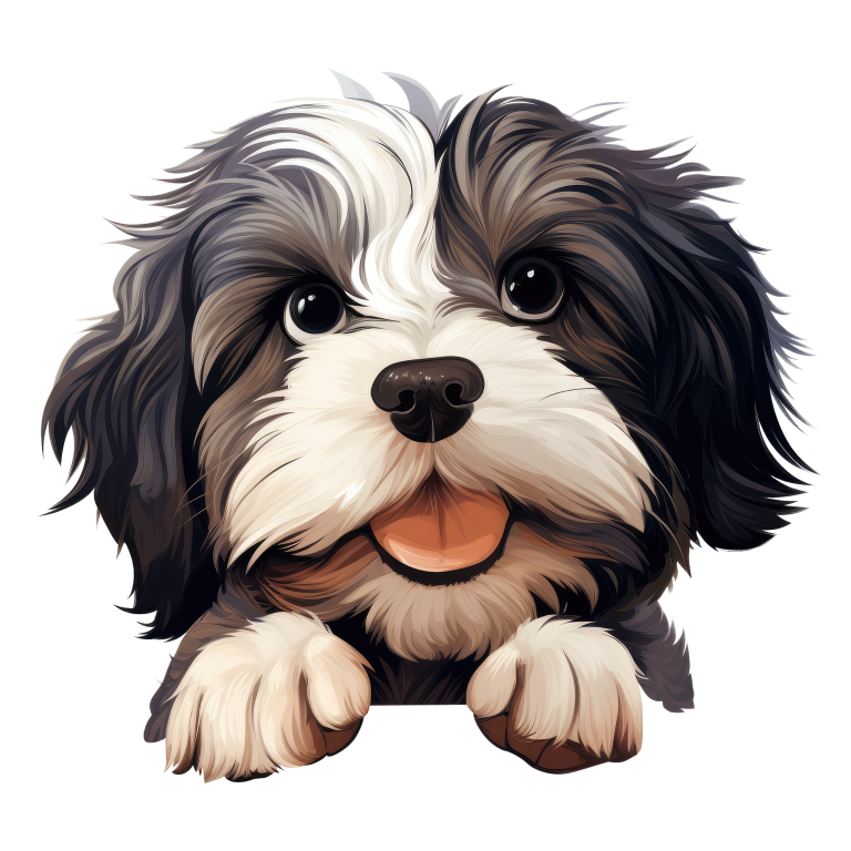 Black White Dog ShihTzu Cute Vinyl Sticker Decal