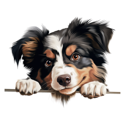 Black White Brown Australian Shepherd Dog Vinyl Sticker Decal