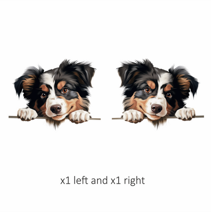 Black White Brown Australian Shepherd Dog Vinyl Sticker Decal