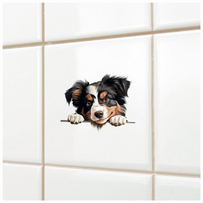 Black White Brown Australian Shepherd Dog Vinyl Sticker Decal