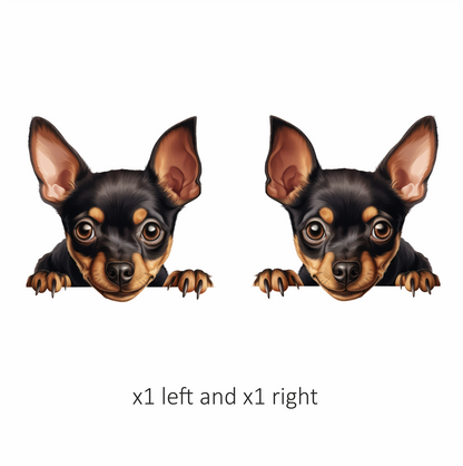 Black Brown Chihuahua Puppy Face Vinyl Sticker Decal