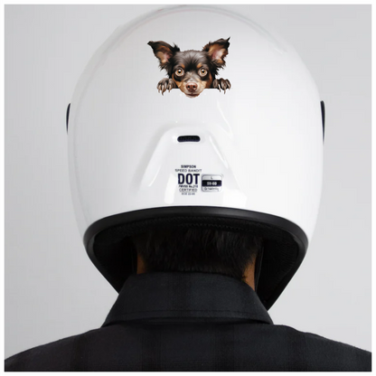 Brown Chihuahua Dog Face Paws Vinyl Sticker Decal