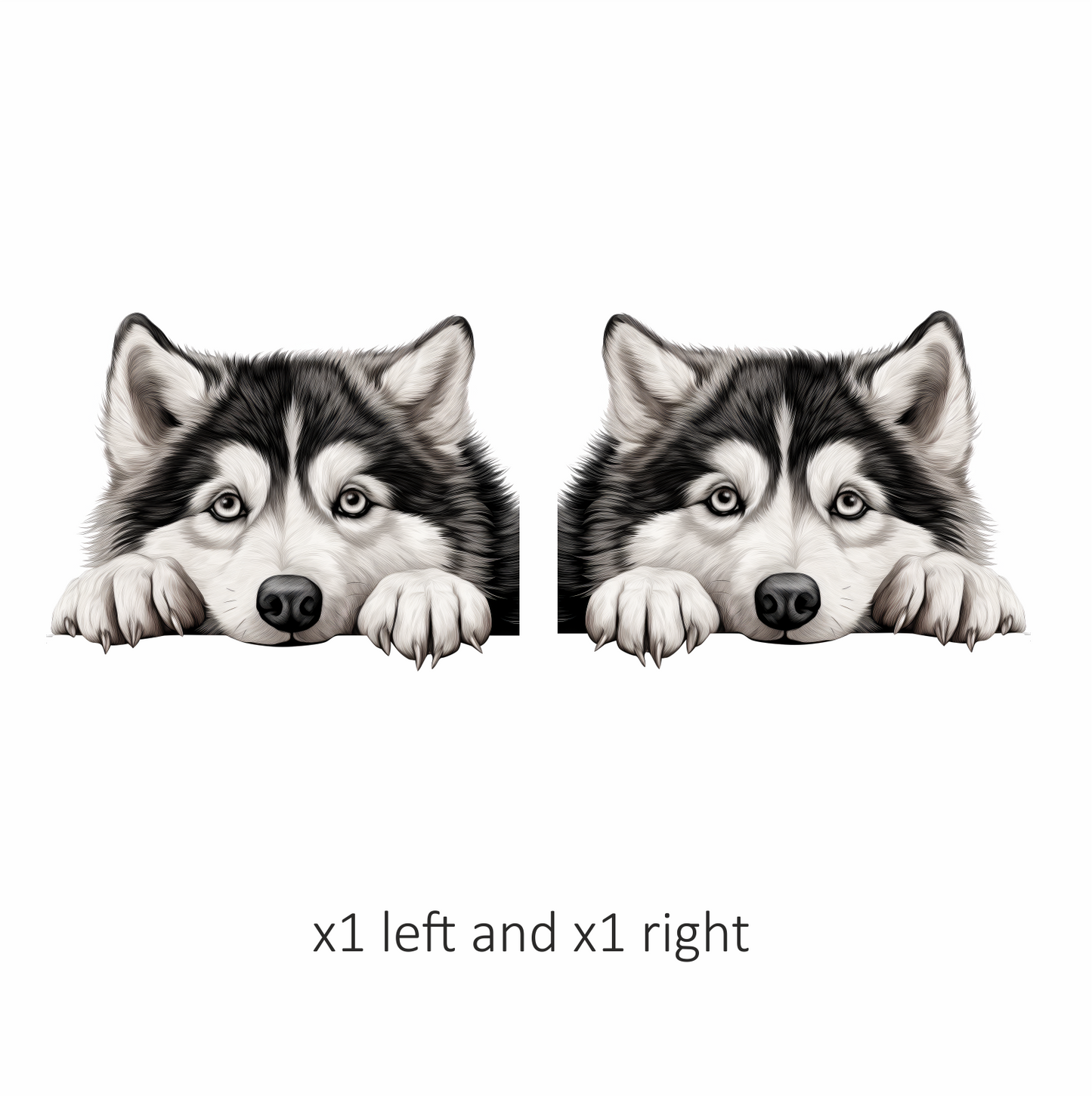 Black White Husky Dog Paws Vinyl Sticker Decal