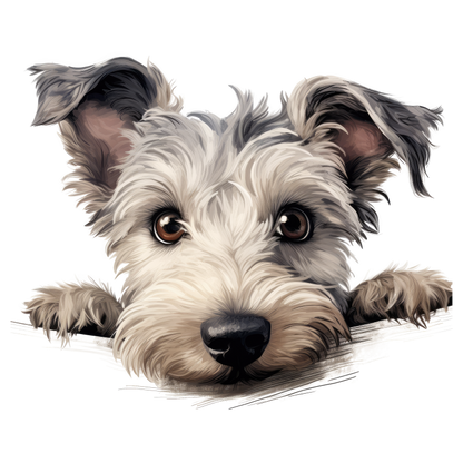 Gray Dog Terrier Face Close Vinyl Sticker Decal